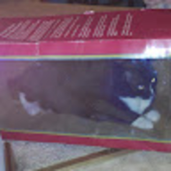 djkitty01